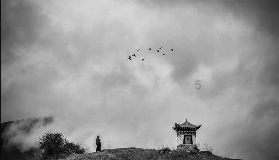 打造专业知识分享社区 - 女生说我都要比男生的头都还高怎么幽默回复?知识星球平台