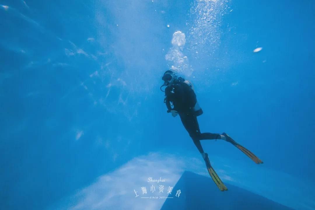 白孔雀救援