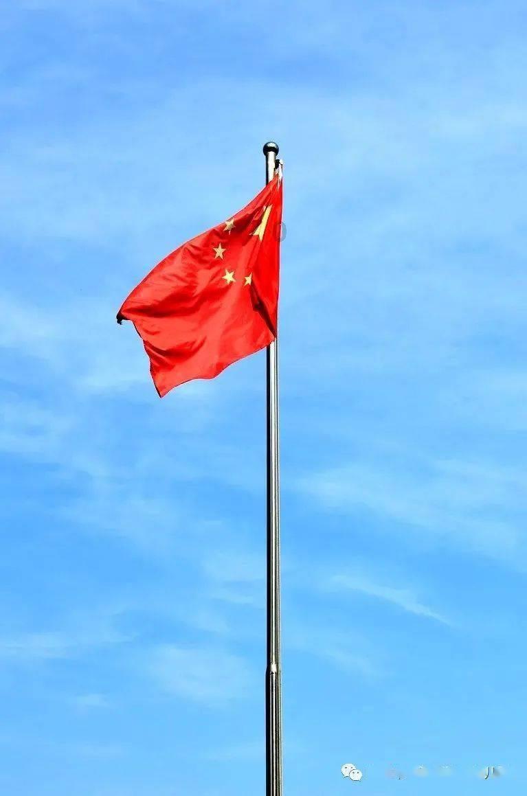 逗小猴开心系列207